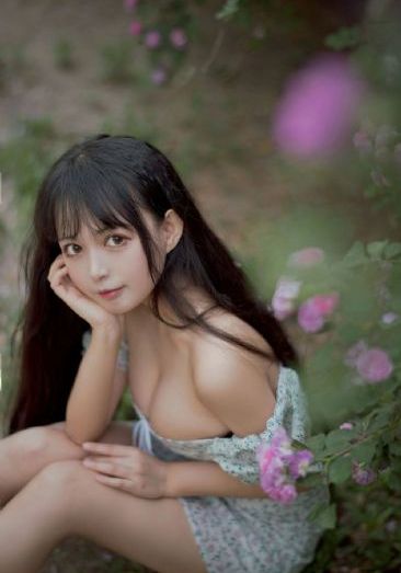 灯草花和灯免费_1080P电影在线观看