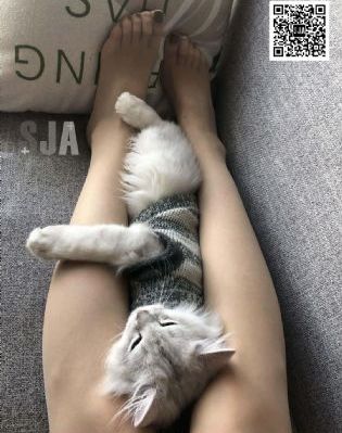日韩美女视频影院在线播放_1080手机在线观看