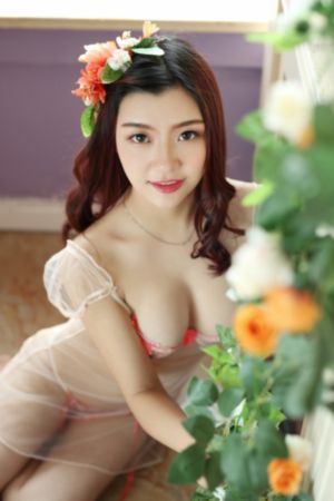 安乐传电视剧免费观看高清29集_DVD全集免费播放