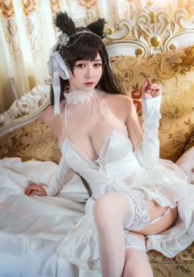 番茄影视大全在线观看_1080P高清完整版播放